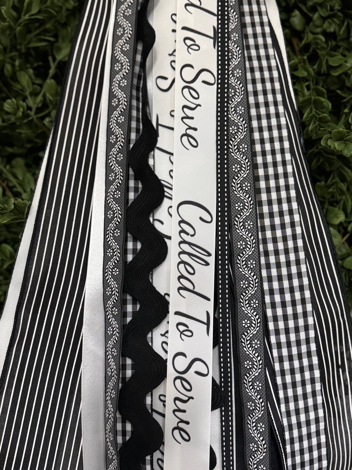 Black & White Missionary with Bow