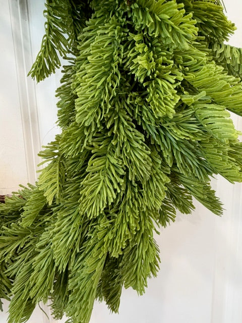 Noble Fir