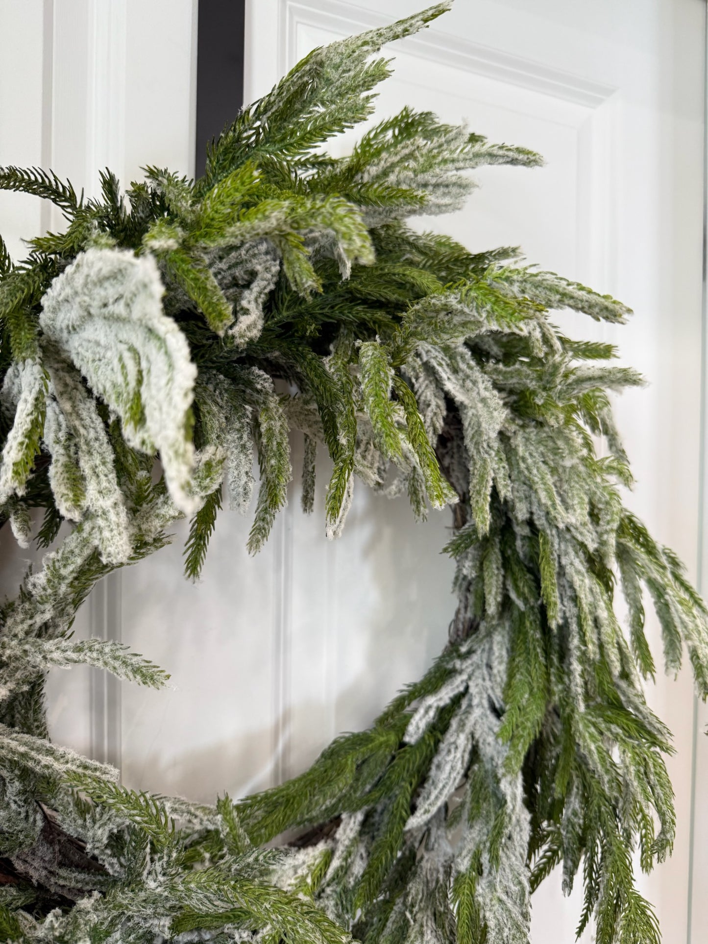 24" Flocked Norfolk Pine