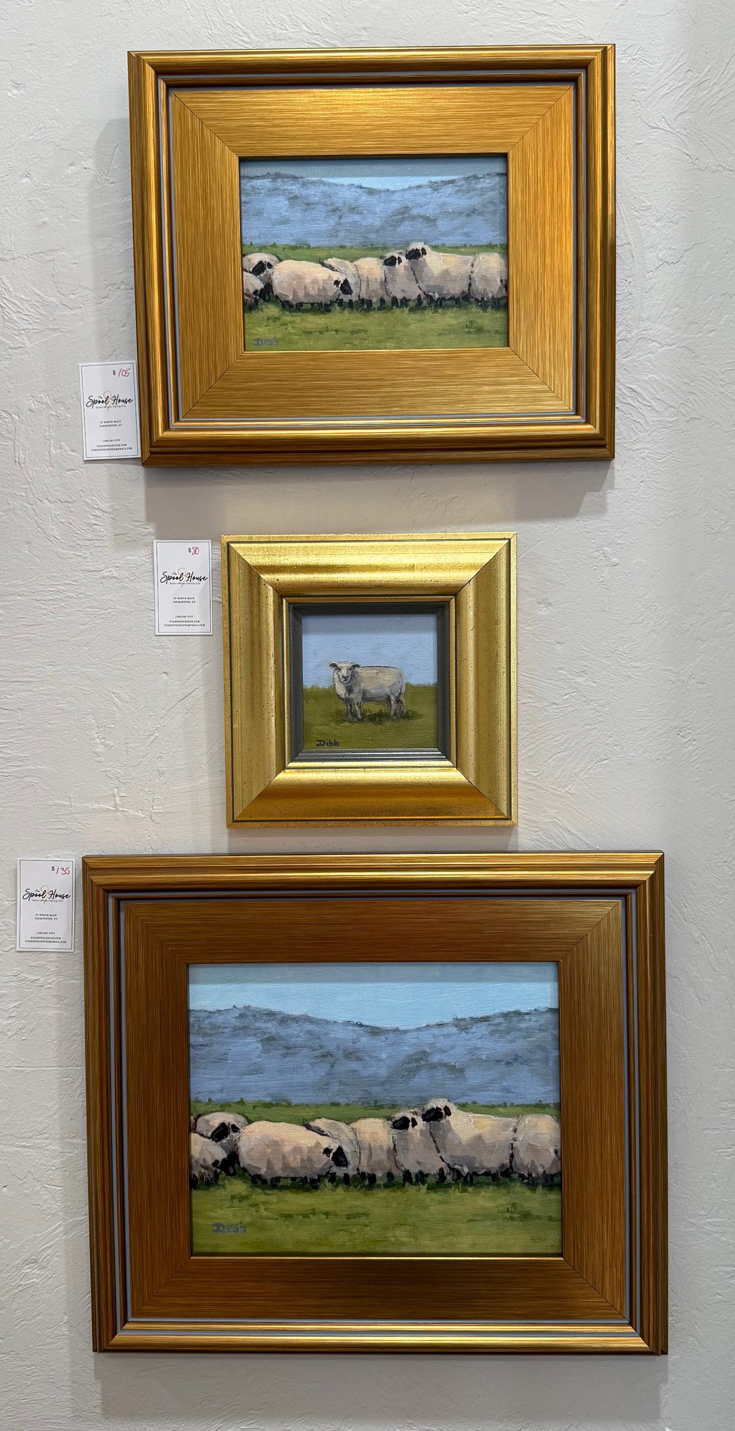 Sheep Grazing in Field