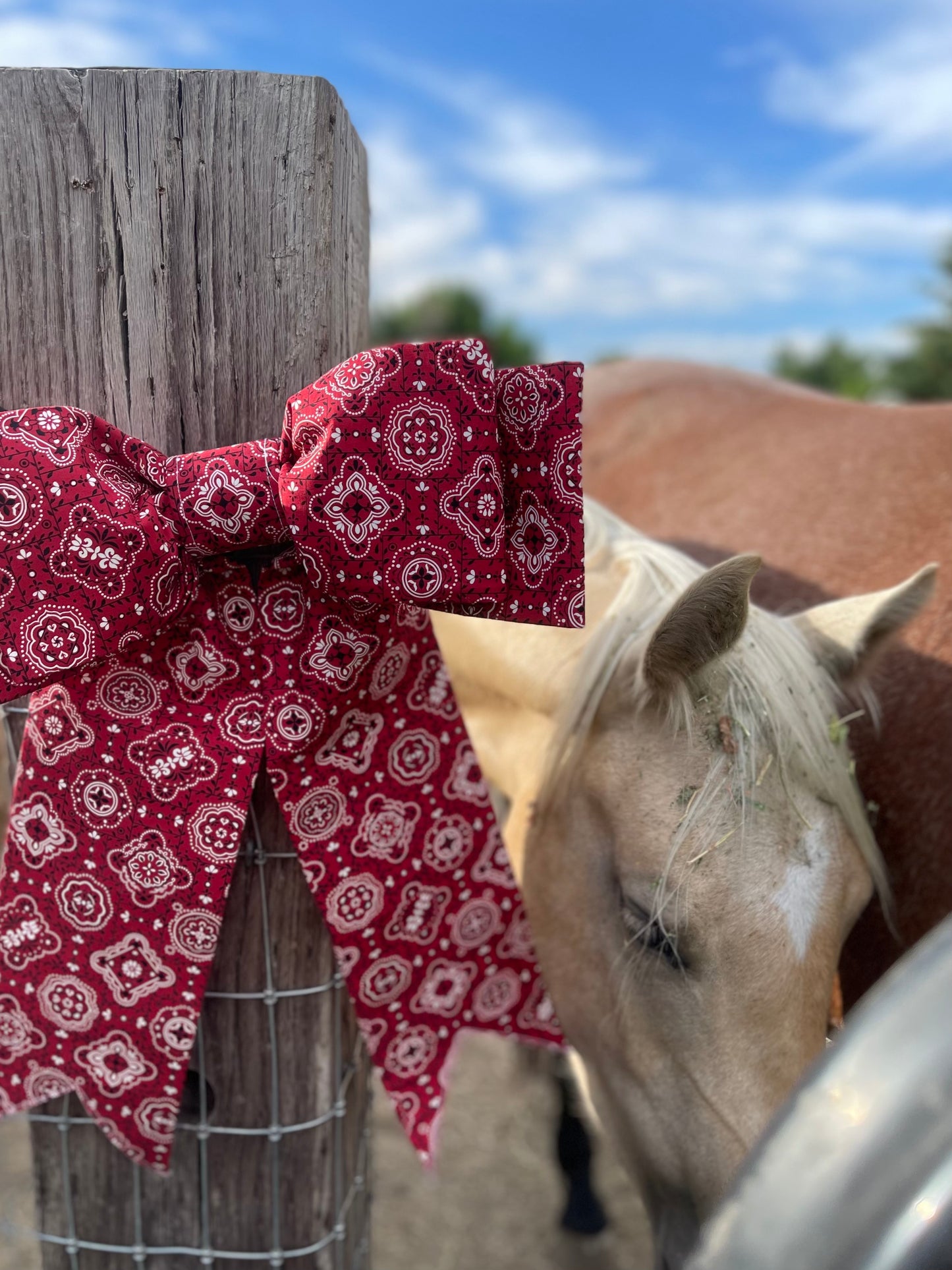 Red Bandana Double Bow