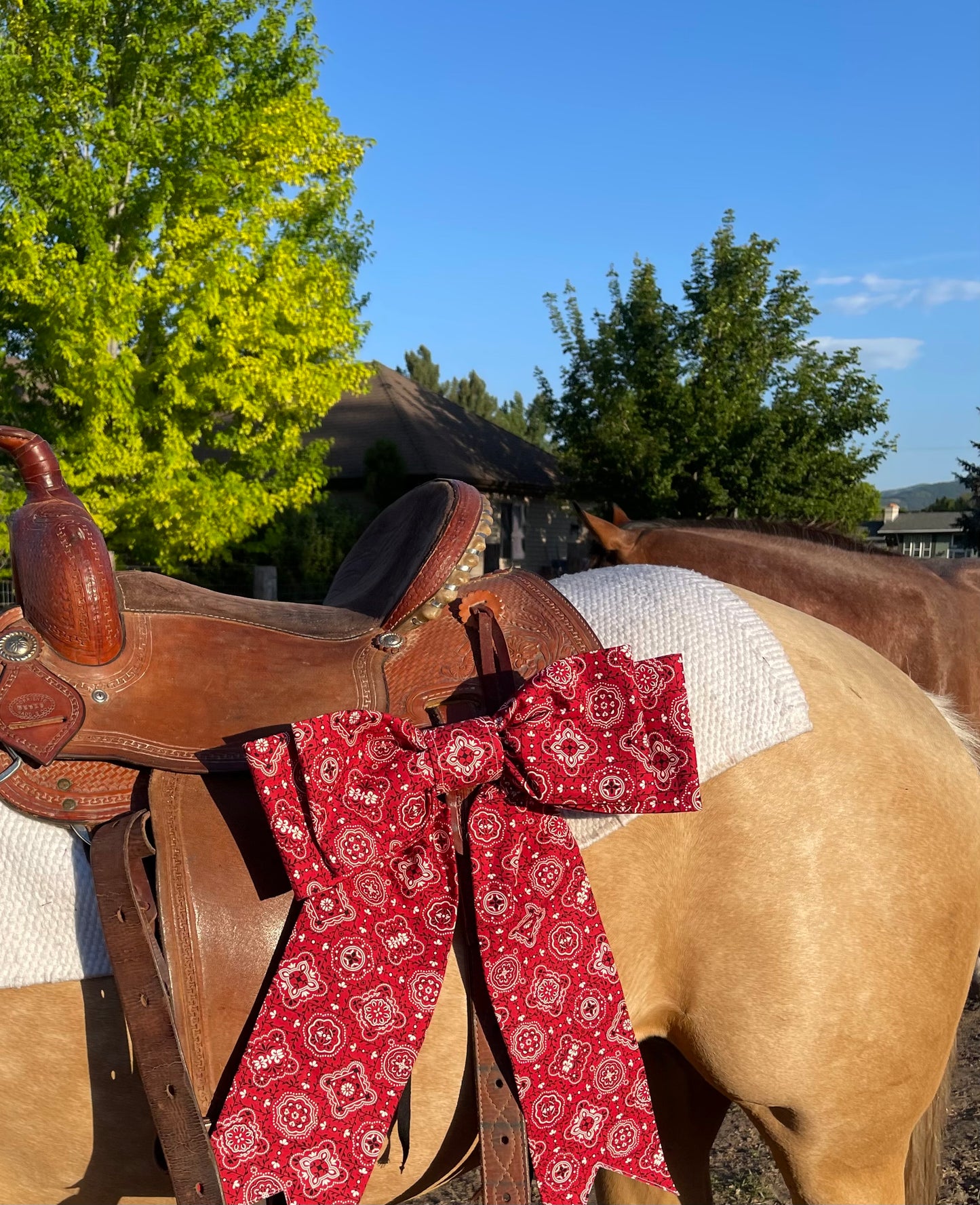 Red Bandana Double Bow