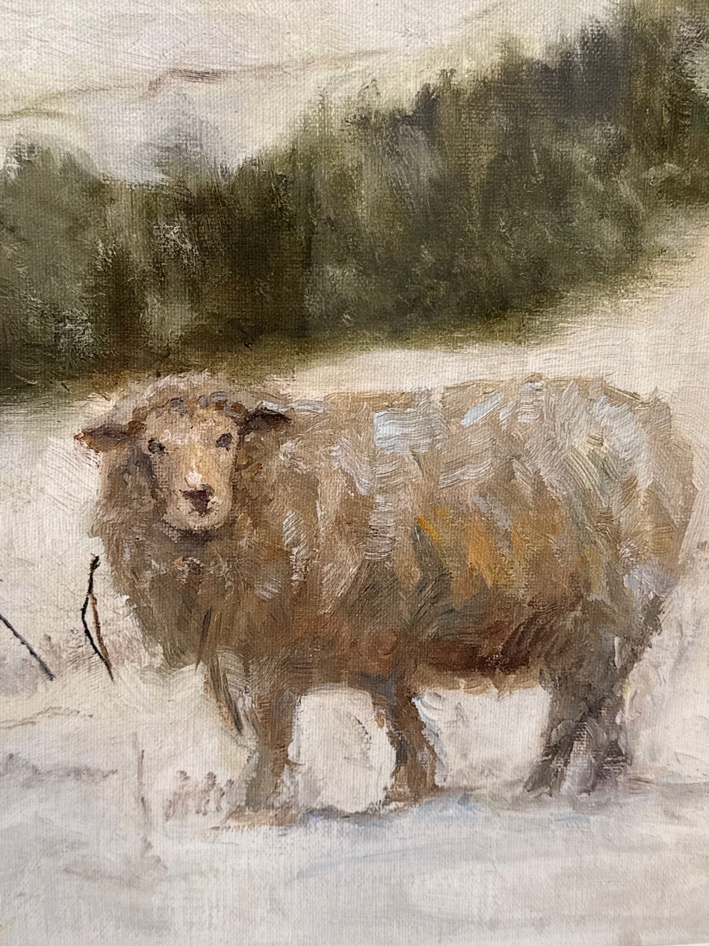 Winter Sheep 5x7
