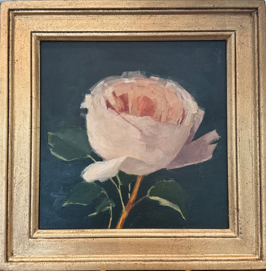Tangerine Rose