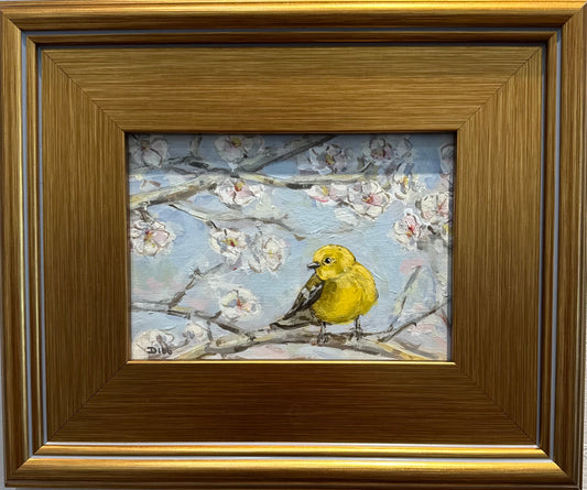 Sweet Yellow Bird
