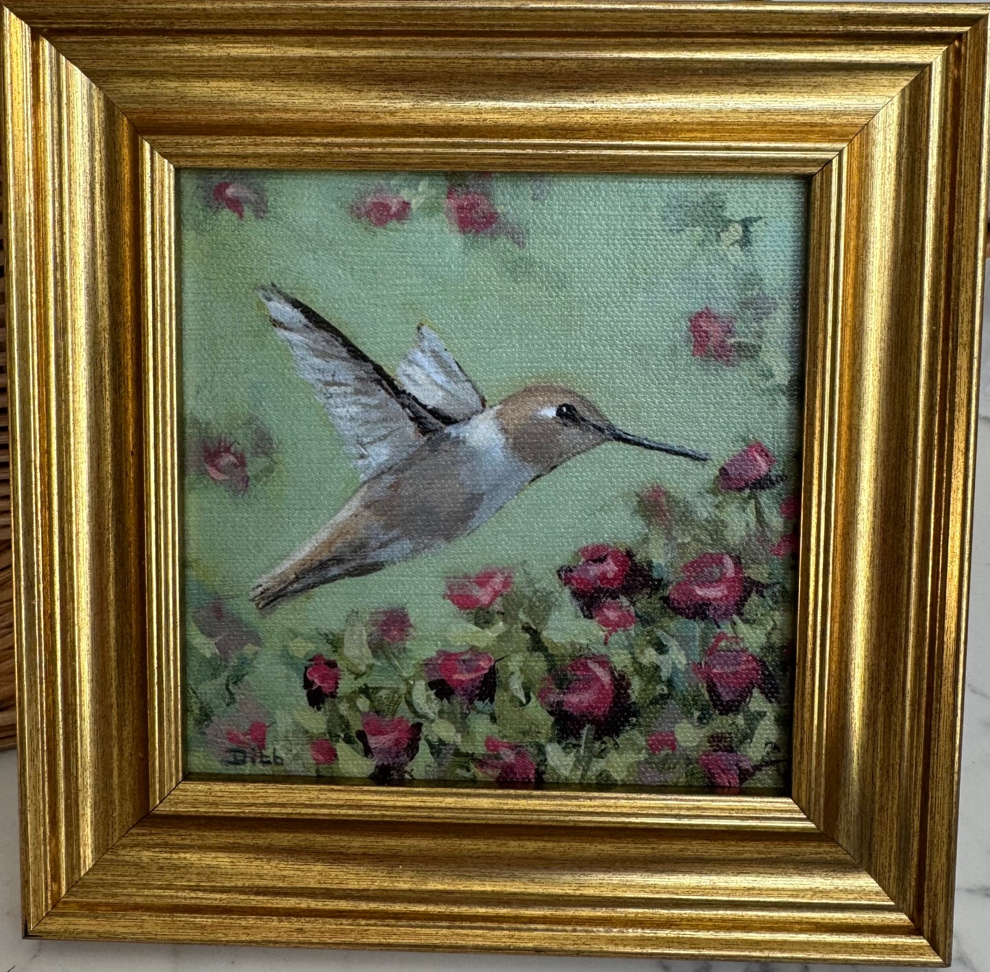 Hummingbird on Green