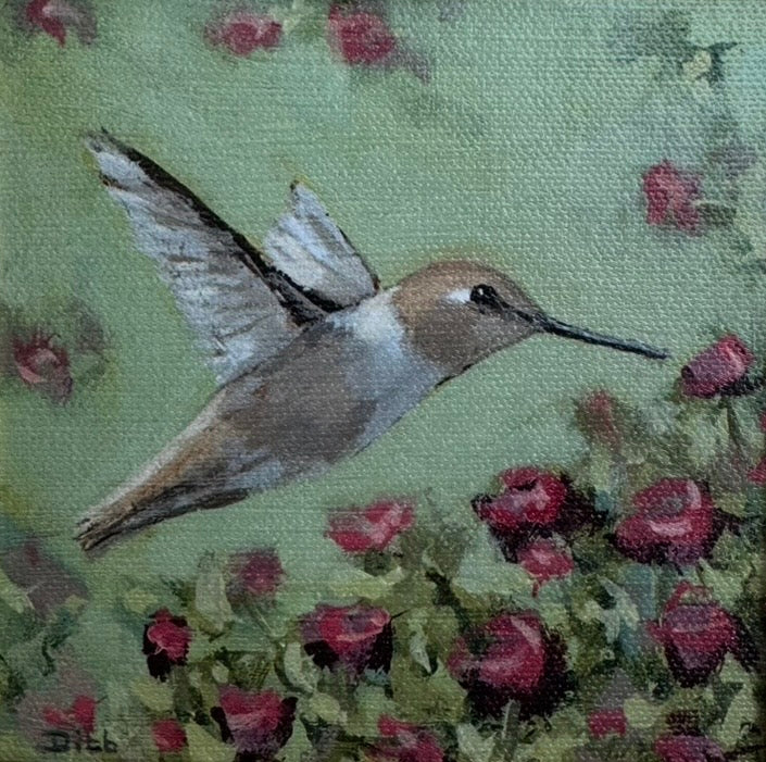 Hummingbird on Green