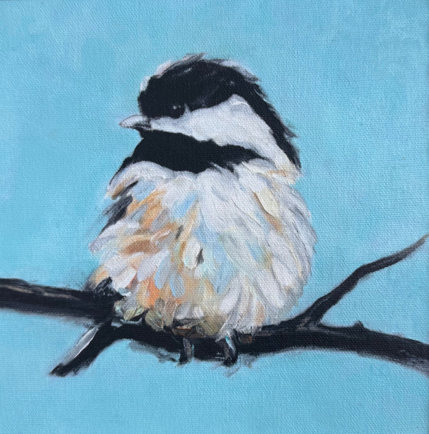 Chickadee