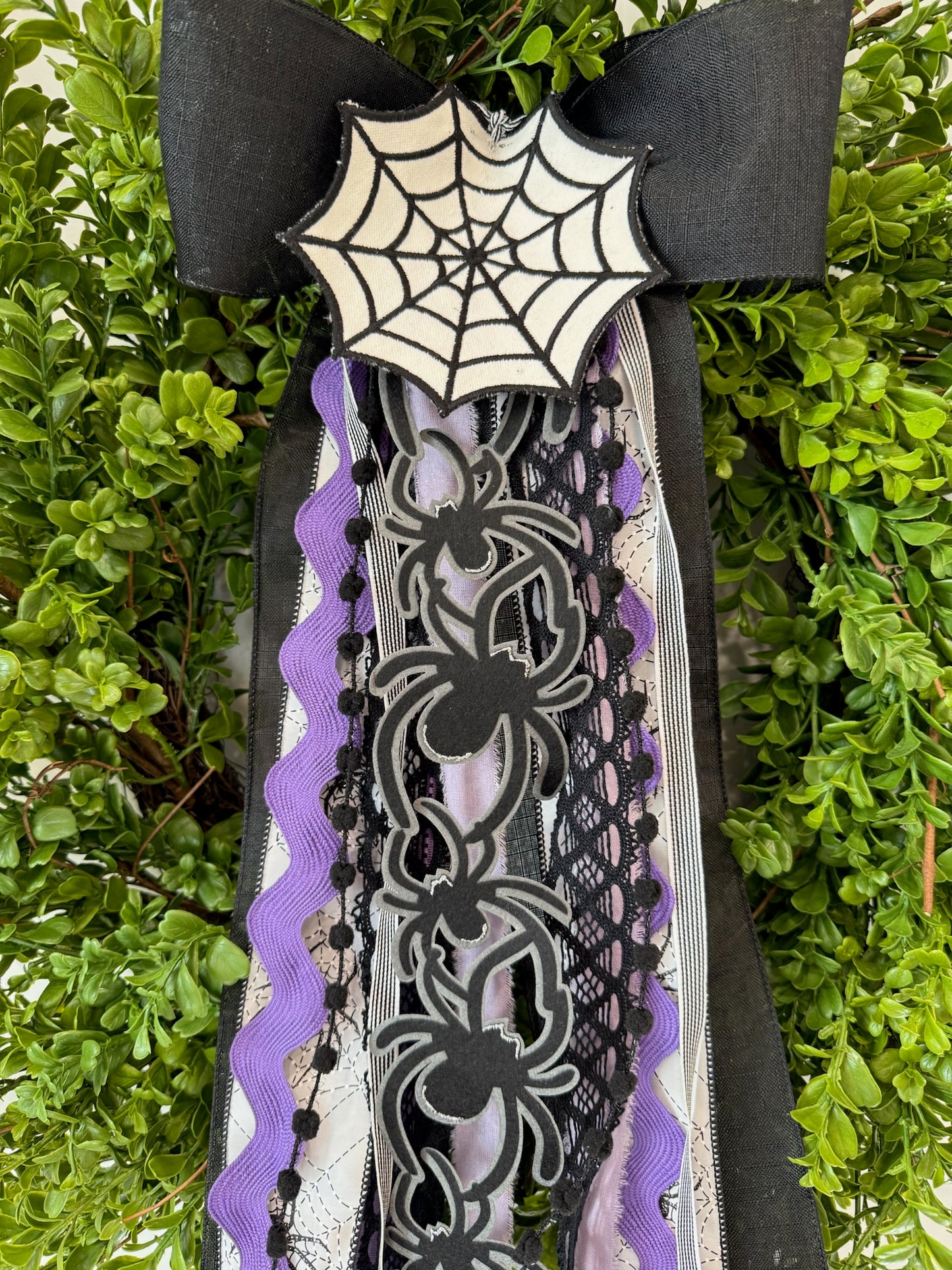 Creepy Crawly Spiders