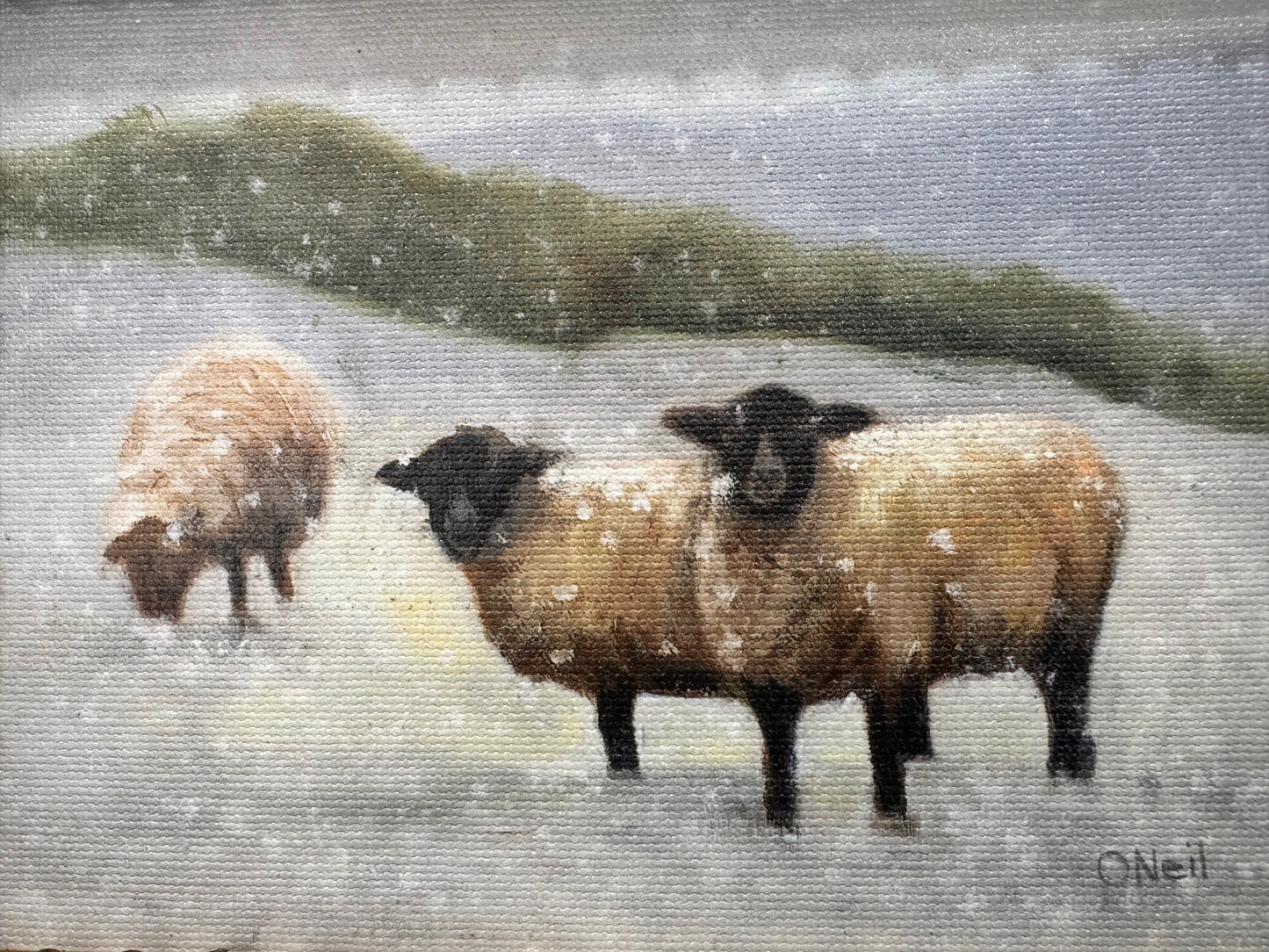 Three Winter Sheep 5x7