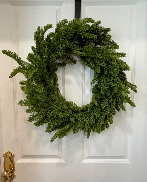 Noble Fir