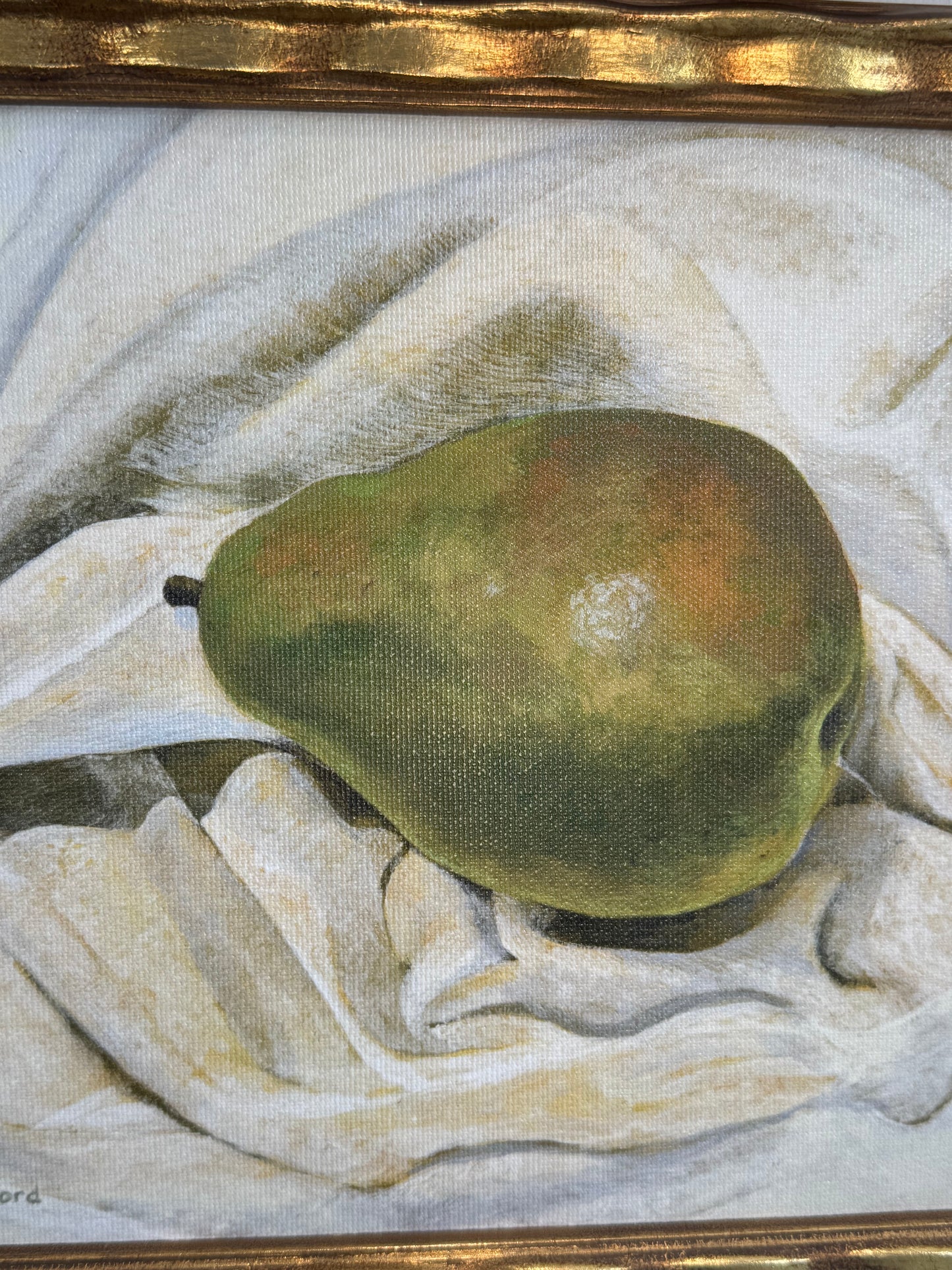 Anjou Pear