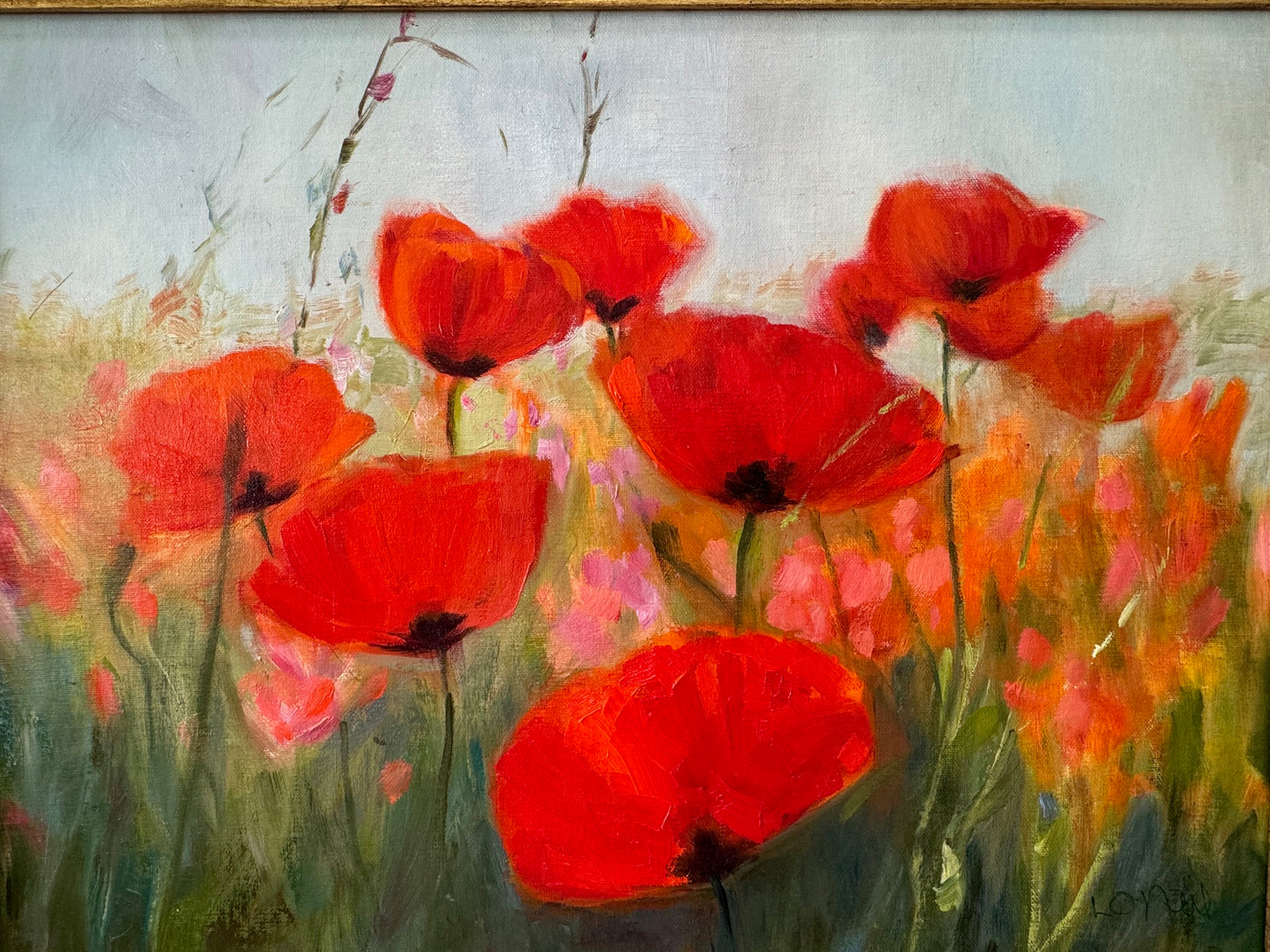 Poppies in Field