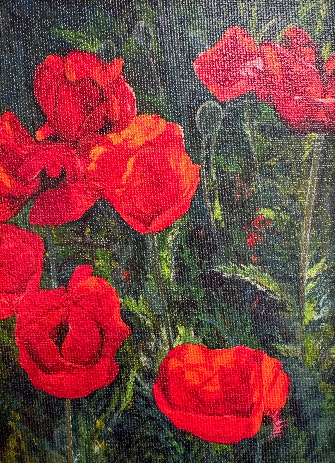 Mantua Poppies