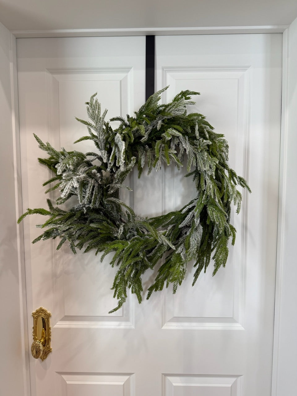 24" Flocked Norfolk Pine