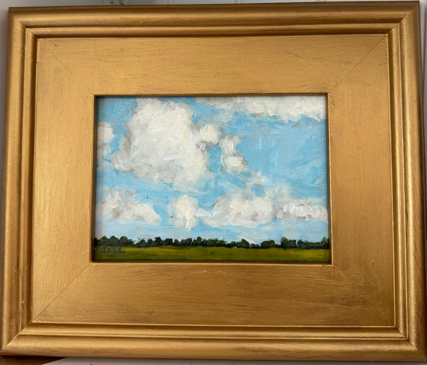 Cloudy Blue Skies with Field