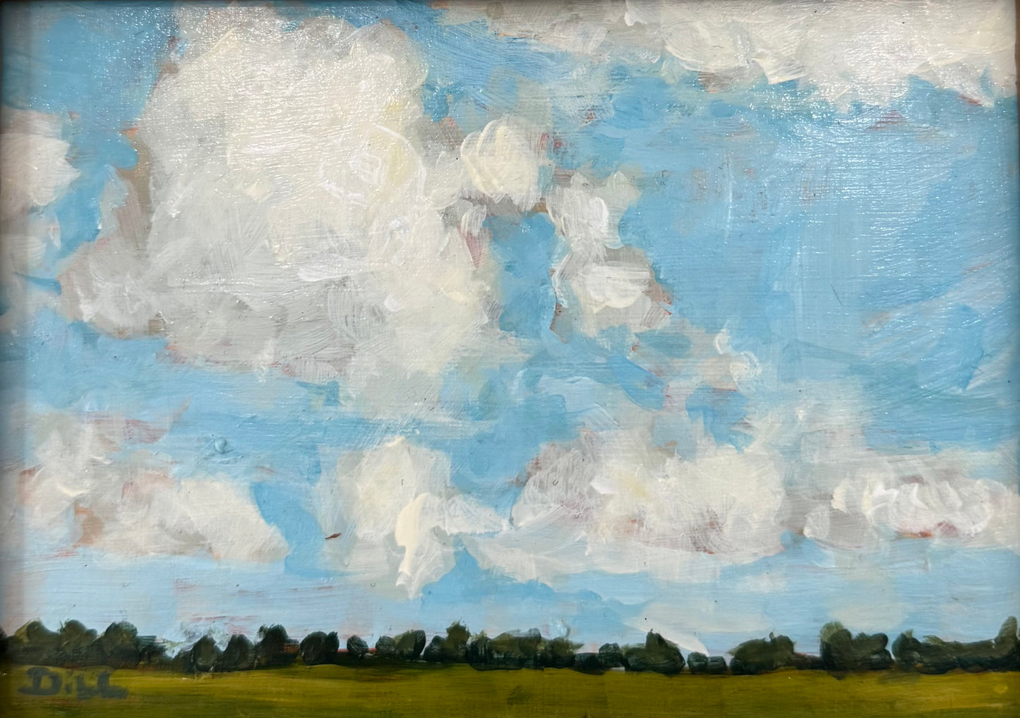 Cloudy Blue Skies with Field