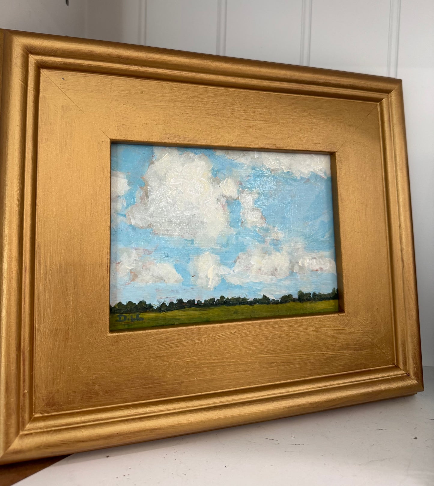 Cloudy Blue Skies with Field