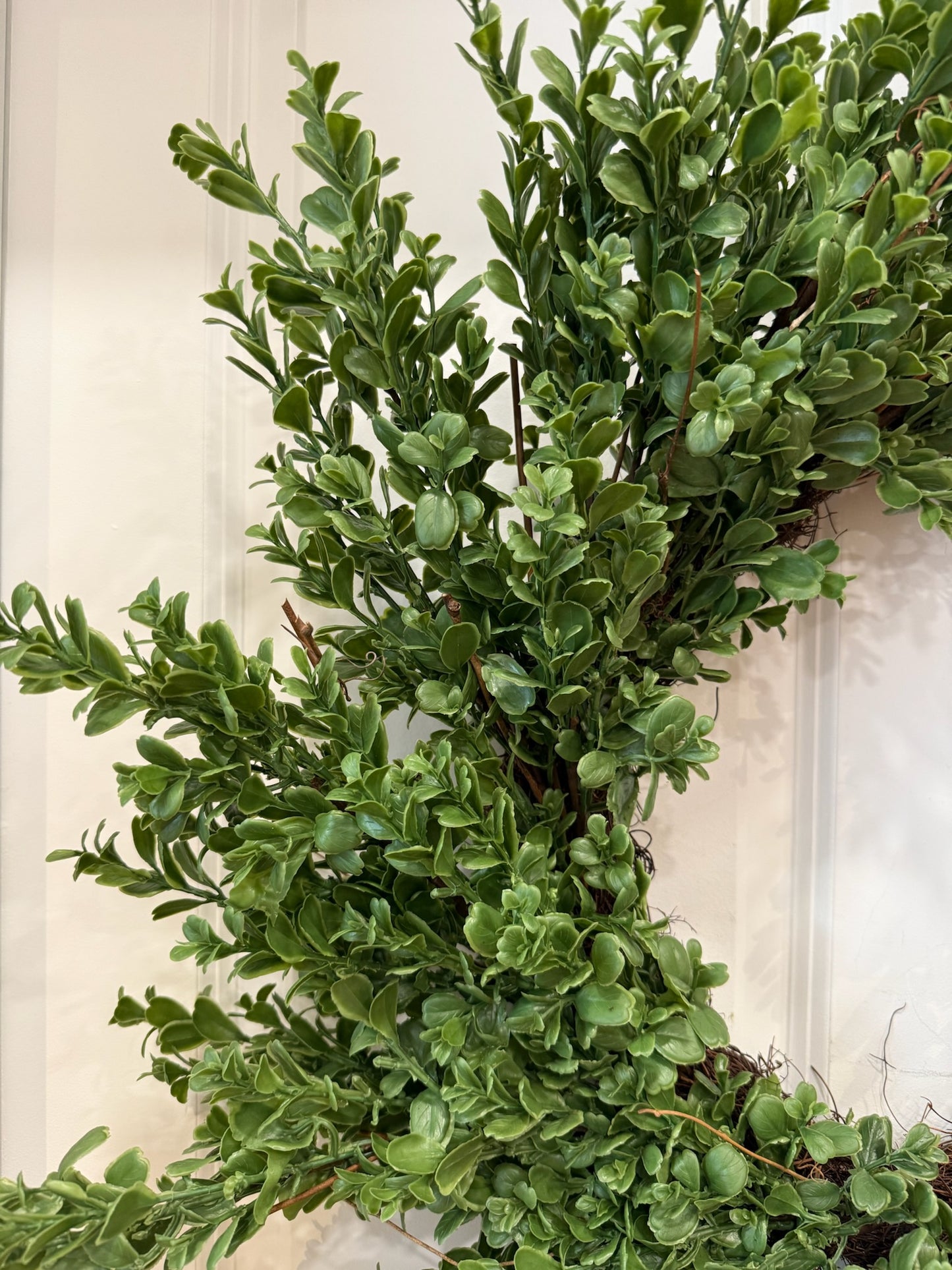 32” Boxwood Wreath