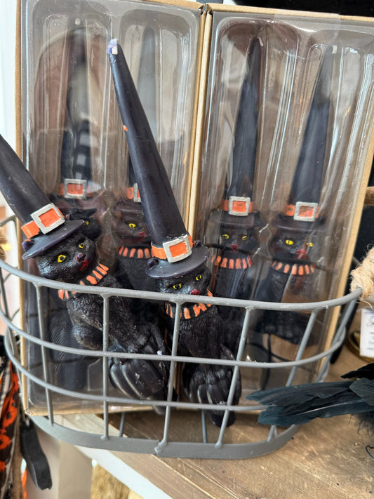 Black Cat Candles with Witches Hats