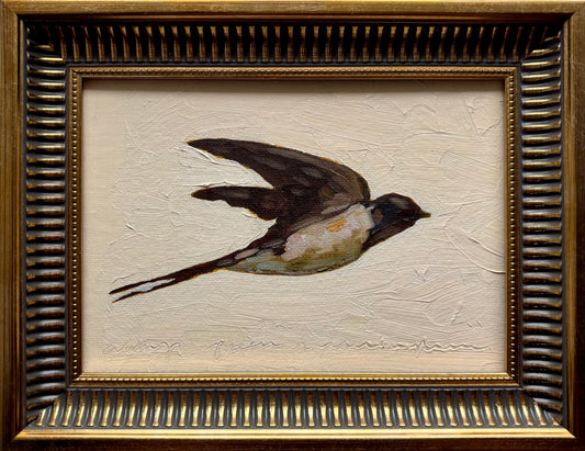 September Swallow