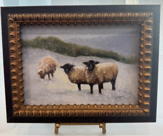 Three Winter Sheep 5x7