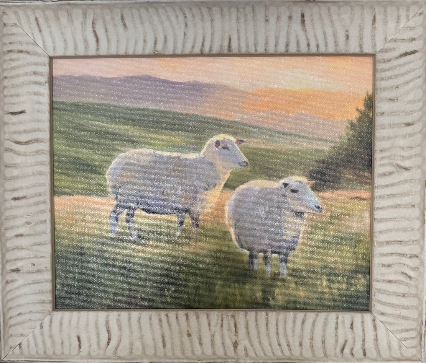 Pastel Sheep