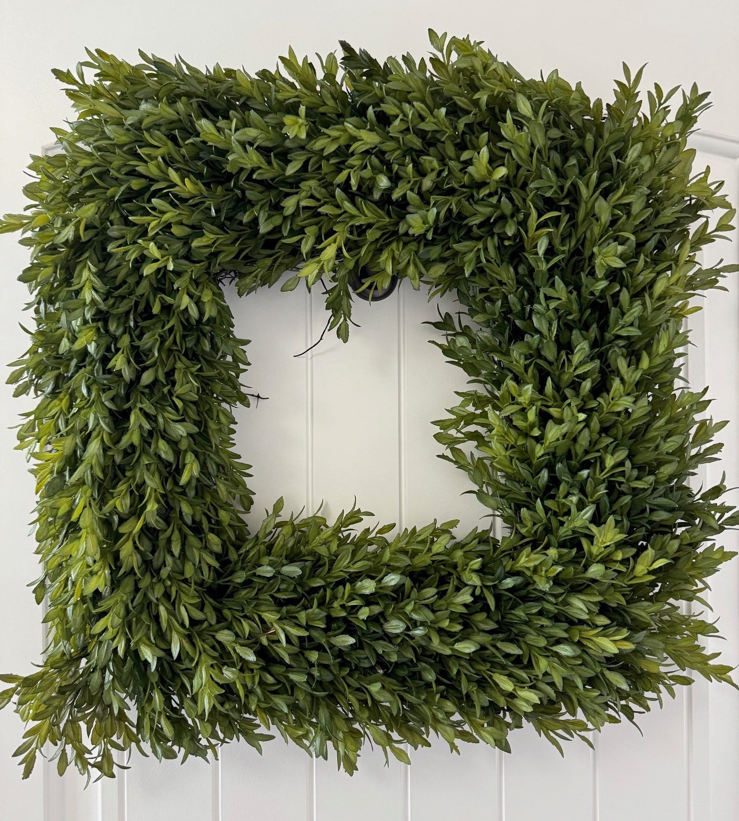 18" Square Boxwood
