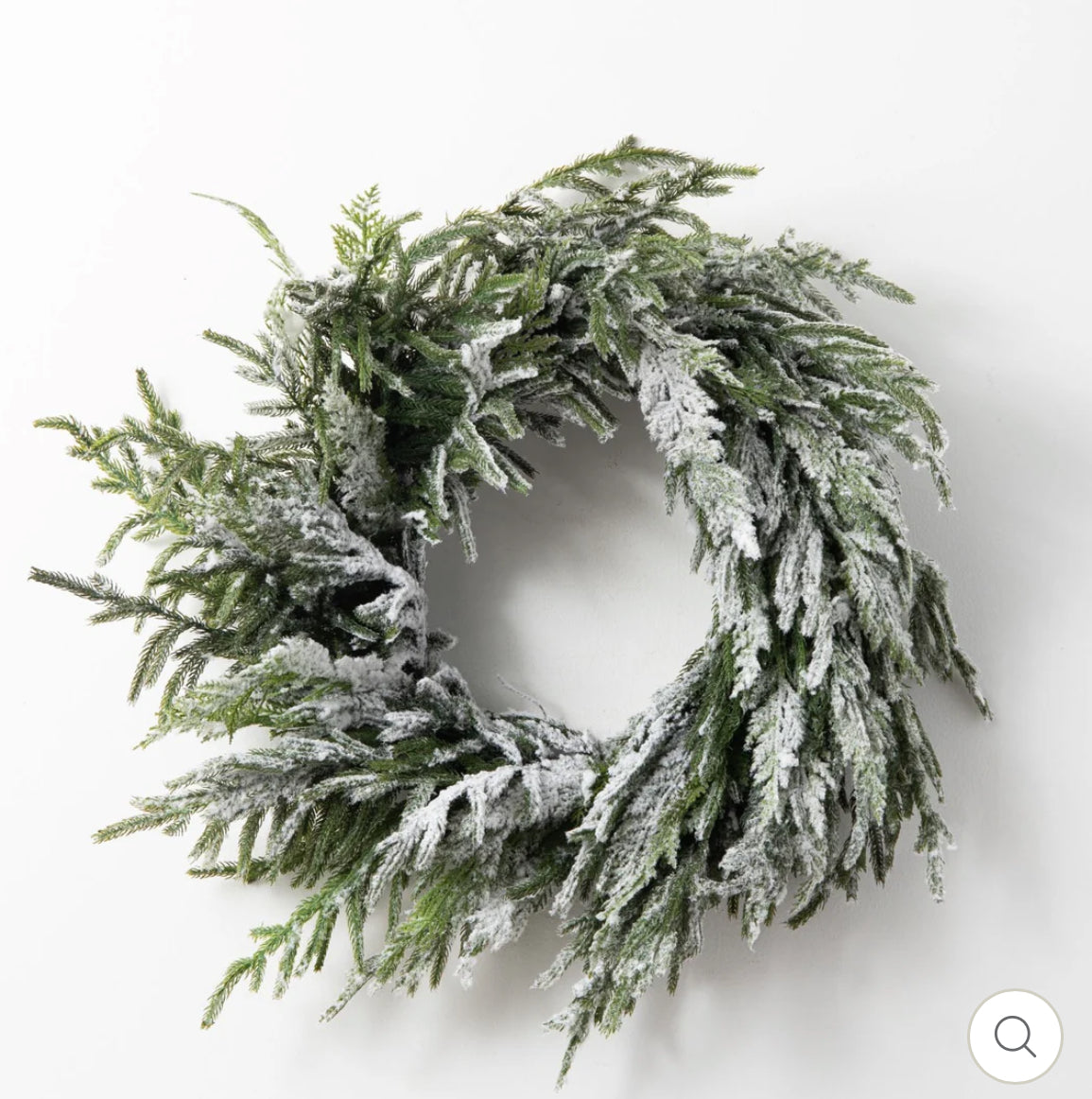 24" Flocked Norfolk Pine