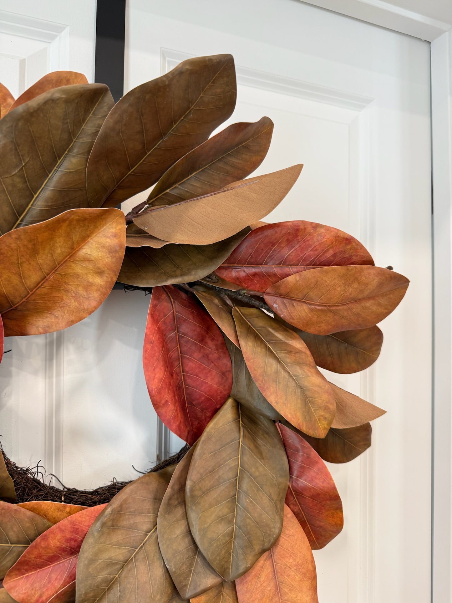 24' Magnolia